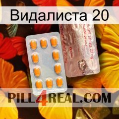 Видалиста 20 new13